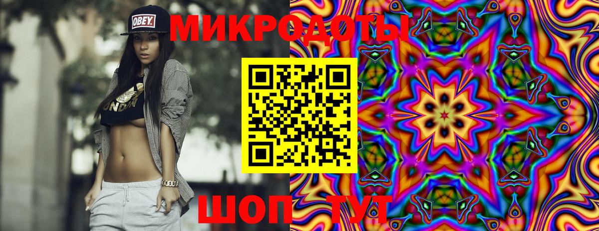 Галлюциногенные грибы Psilocybe Ялуторовск